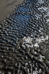 Rippled wet sand in shades of gray as a nature background

