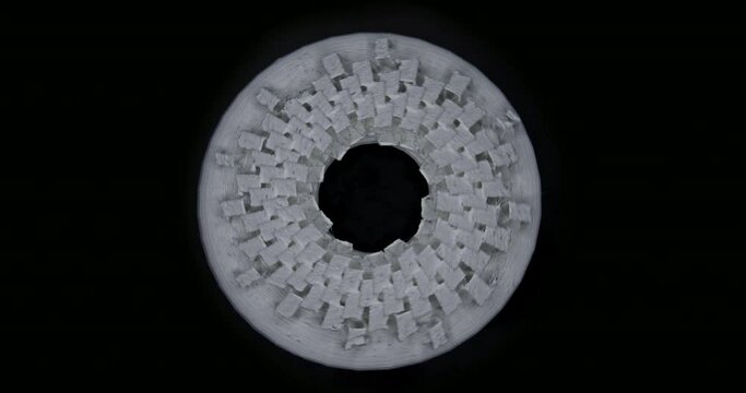 Geometric disc shape optical illusion | Fibonacci sequence | the golden ratio angle in nature | zoetrobe spinning against black background | 4 shots