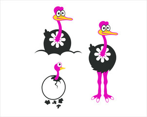 illustration of ostrich