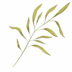 Green branch with decorative watercolor leaves on a white isolated background