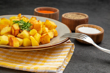 front view tasty fried potatoes inside plate with seasonings on the dark-grey background color cuisine food photo