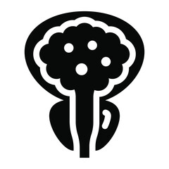 
A solid design of prostate gland icon
