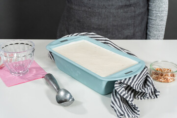 Coconut ice cream