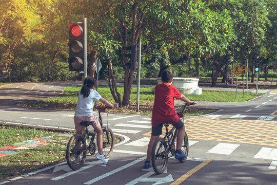 children are cycling in the park, bicycle stops at traffic lights