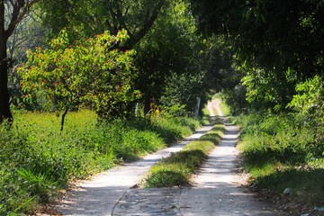 path in the park