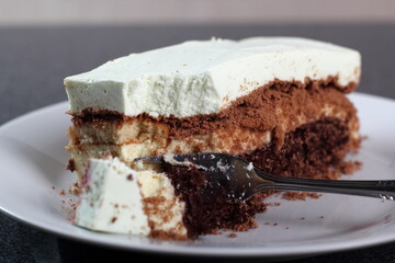 Layer cake with yogurt jelly filling