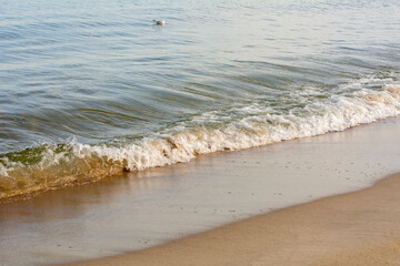 Beautiful ocean wave breaks the closure next to sandy beach. Selective focus, fog view
