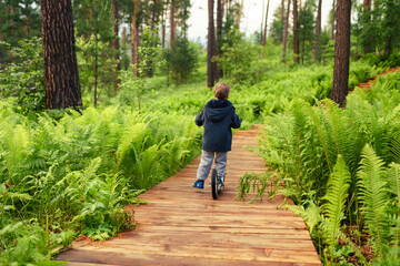 Obraz premium person riding a push scooter