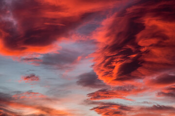 Fototapeta premium Joshua Tree Sunset Sky Clouds, Joshua Tree National Park, California