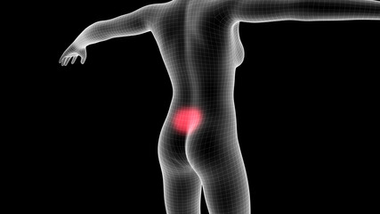 Obraz premium 3d illustration of a woman xray hologram showing pain area on the back area