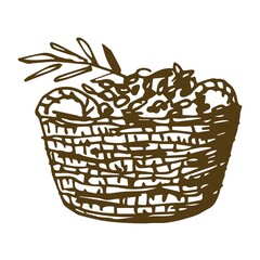 Fototapeta premium Hand-drawn vector drawing in engraving style. Rustic basket with olives isolated on white background. Seasonal harvest, growing organic products. For prints, labels, packaging.