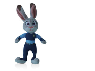    beautiful rabbit on white background, animal object, copy space