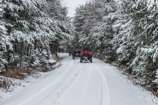 ATV Trail winter landscape