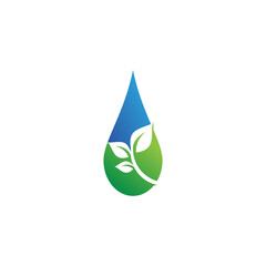 Water drop Logo Template vector illustration design