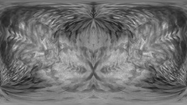 Black watercolors in water. Fractal patterns. Black and white background