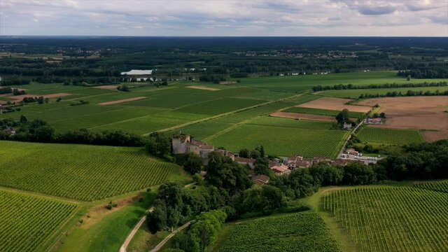 Aerial view bordeaux vineyard, landscape vineyard south west of france, europe, High quality 4k footage