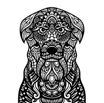Hand drawn of Dog zentangle arts . vector illustration