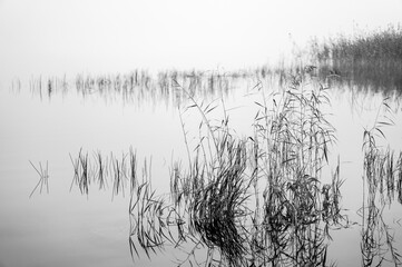 Matting fog over the river, black-white landscape.
