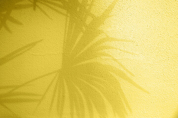 Tropical gray palm leaves shadows on wall illiminating yellow textured background.  trendy concept