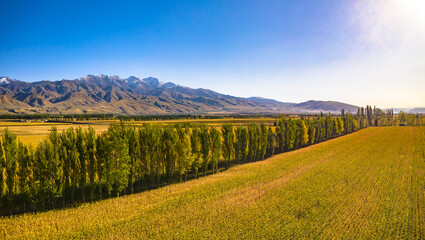 Landscape of Xinjiang, Asia