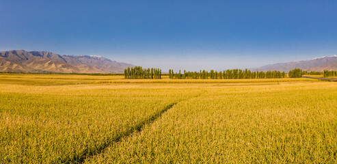 Landscape of Xinjiang, Asia