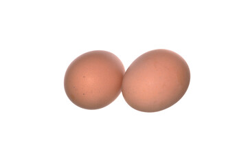 chicken egg isolated on white background
