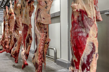 Chopped beef carcasses.