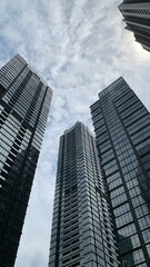Obraz premium office buildings