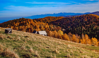 beautiful autumn landscapes in the Romanian mountains, Fantanele village area, Sibiu county, Cindrel mountains, Romania