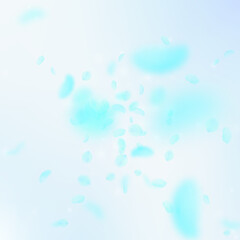 Turquoise flower petals falling down. Ecstatic rom