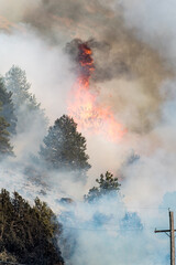 oregon wildfire on mountain tree torching