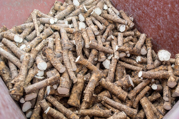 bin of horseradish 