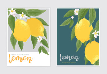 Lemon fruit with flower background template. Vector set of lemon element for advertising, holiday invitations, greeting card and fashion design.