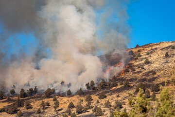 oregon wildfire on mountain