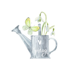 Snowdrops in a metal watering can and a butterfly. Watercolor. Spring illustration on white. Isolated element for design. Perfect for an invitation or greeting card.