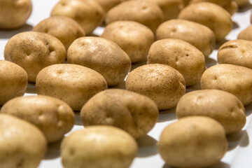 potatoes on a conveyor belt