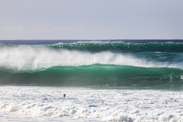 Hawaiian Winter