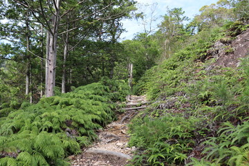 宇連山の綺麗な景色