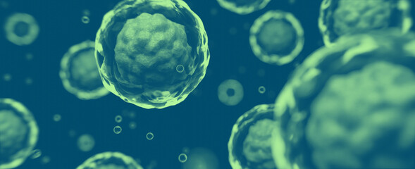 Stammzelle unter dem Mikroskop: Thema Biologie oder Körper