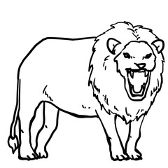 Simple lion line art illustration