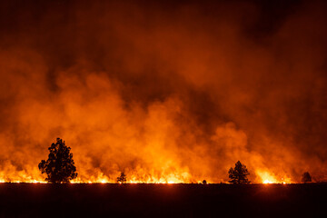 Fototapeta na wymiar Oregon wildfire burns in forest