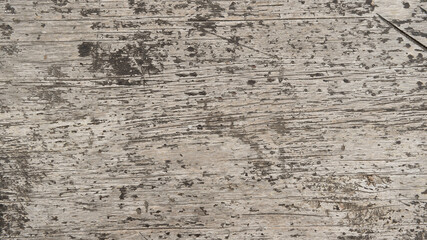 close up of wooden texture for background          