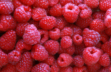 Red Raspberry Background Close Up