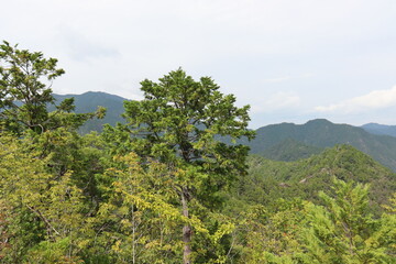 Fototapeta premium 宇連山から見る綺麗な景色