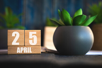 april 25th. Day 25 of month, Cube calendar with date and pot with succulent placed on table at home Simple calendar. spring month, day of the year concept