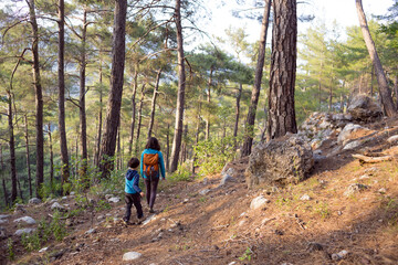 Fototapeta premium A woman walks with her son through the forest.