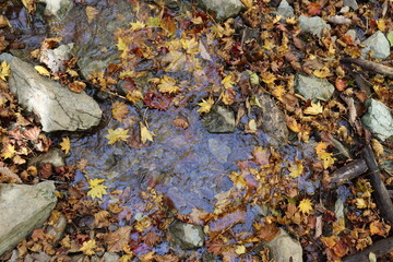 明神山の山道の景色