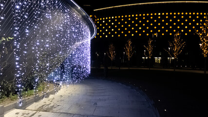 New Year's lighting with garlands of Krasnodar park