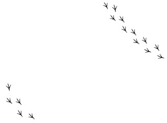 Horizontal Vector background with round bird trail in the corner.