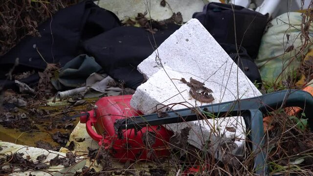 Garbage in the wild. Waste in nature